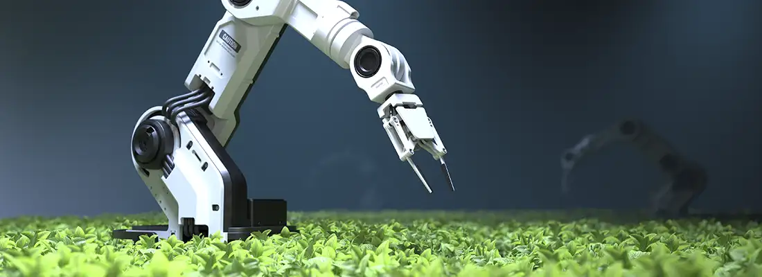 Sustentabilidade em foco com inteligência artificial