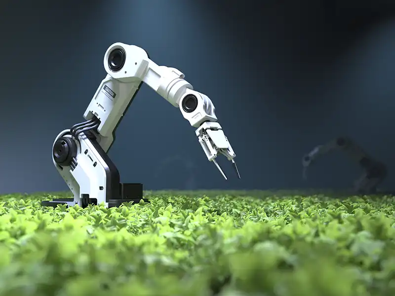 Sustentabilidade em foco com inteligência artificial